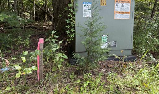 Corner Marker Woods Edge
