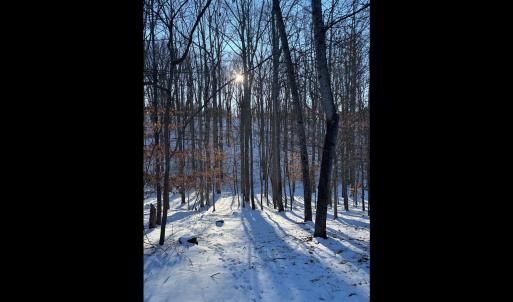 Lakemount lot - Google Photos