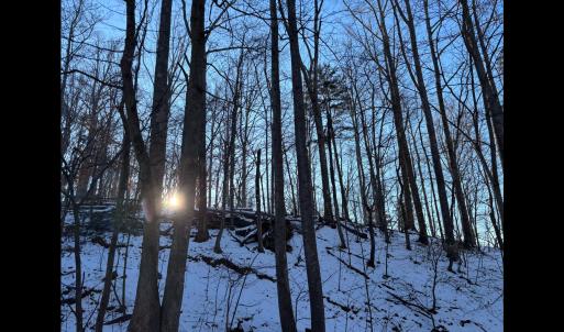 Photo in Lakemount lot - Google Photos