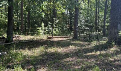 Photo #16 of LOT 2 PLUM TREE CIR, BUMPASS, VA