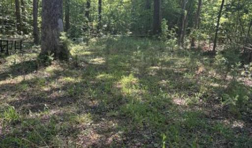 Photo #15 of LOT 2 PLUM TREE CIR, BUMPASS, VA