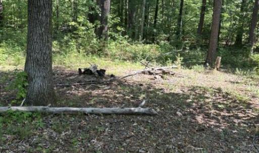 Photo #17 of LOT 2 PLUM TREE CIR, BUMPASS, VA