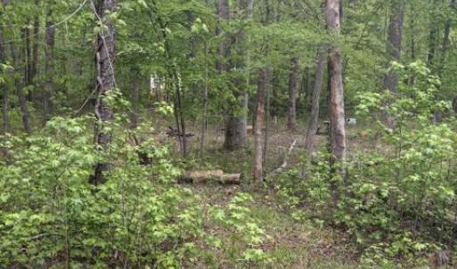 Photo #14 of LOT 2 PLUM TREE CIR, BUMPASS, VA