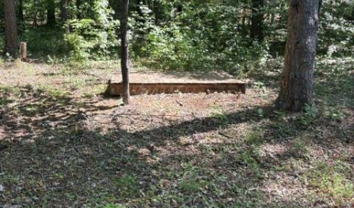 Photo #4 of LOT 2 PLUM TREE CIR, BUMPASS, VA