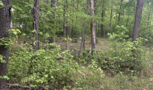 Photo #13 of LOT 2 PLUM TREE CIR, BUMPASS, VA