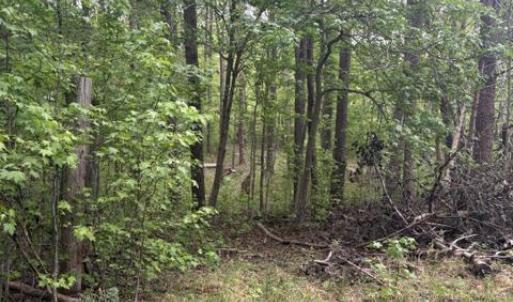 Photo #12 of LOT 2 PLUM TREE CIR, BUMPASS, VA