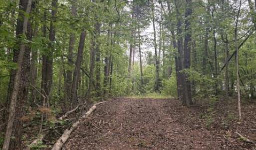 Photo #2 of LOT 2 PLUM TREE CIR, BUMPASS, VA