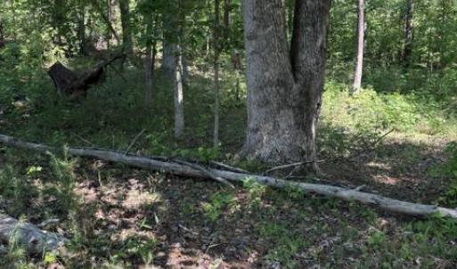 Photo #18 of LOT 2 PLUM TREE CIR, BUMPASS, VA