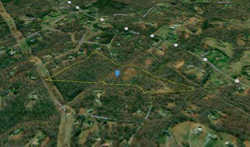 Photo #2 of 2220 PEACEFUL PL, AMISSVILLE, VA 20.4 acres