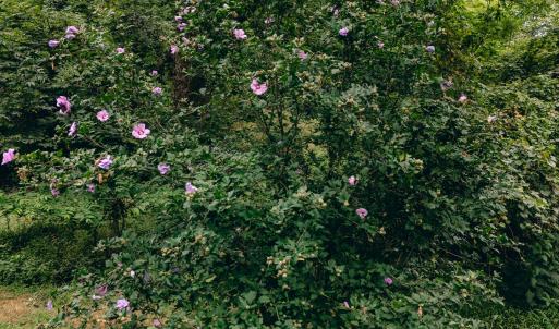 Naff RD 159.847 Acres