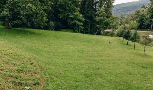 Dunahoo RD 39.421 Acres