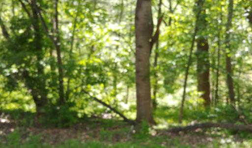 Carriage Hills Tract 1A