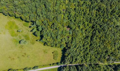 DJI_20250825145529_0439_D