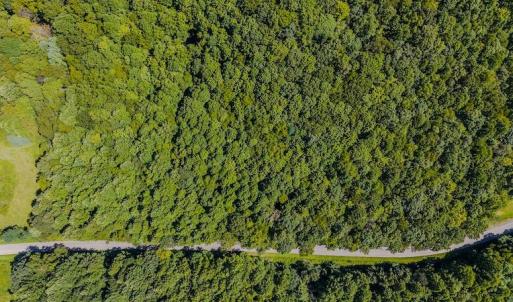 DJI_20250825145401_0436_D