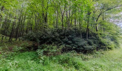 L1002161-HDR