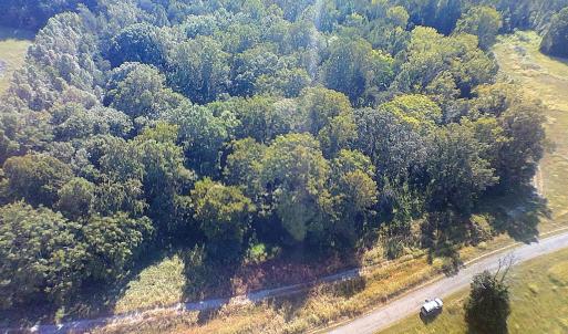 Tract B Crafts Ford Rd 5