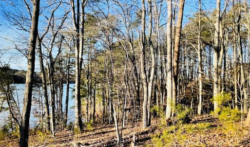 Lot 34 Leesville