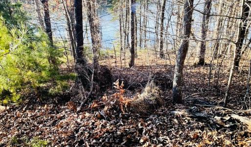 Leesville/Heron Landing