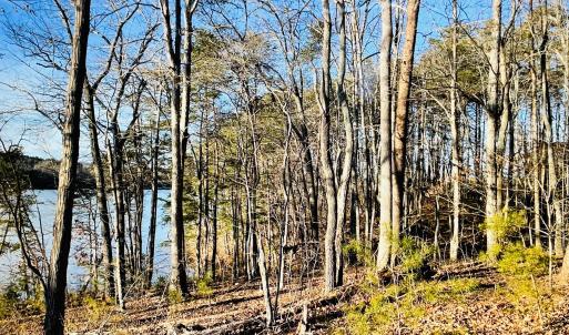Lot 34 Leesville