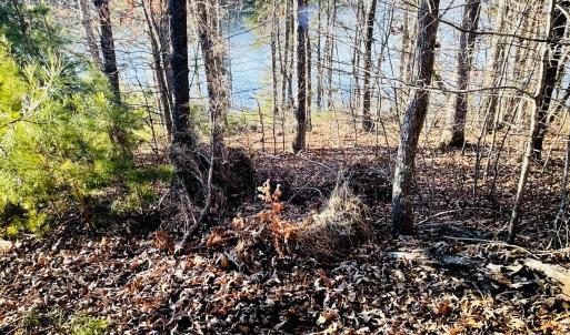 Leesville/Heron Landing