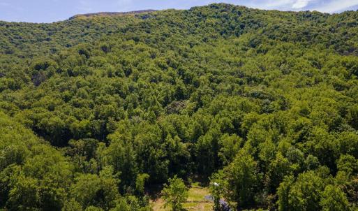 Photo #53 of 1097 BALKAMORE HILL RD, STANLEY, VA 1.2 acres