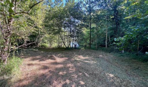 Leesville - 2