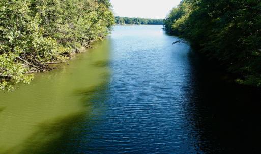 Leesville - 9