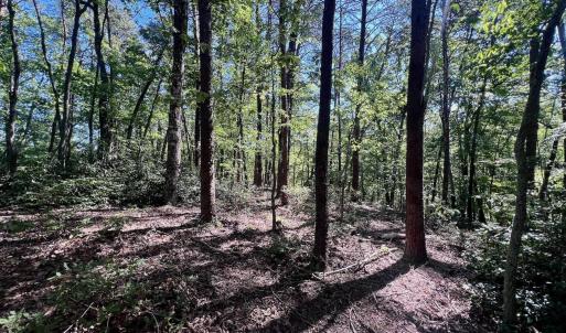 Leesville - 58