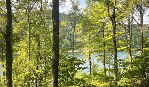 Views  Lot 119