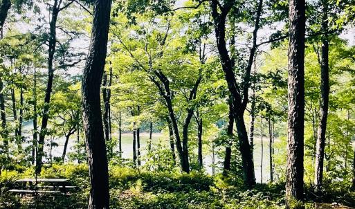 Lake Lot 119