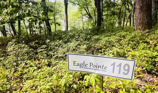 Eagle Pointe 119