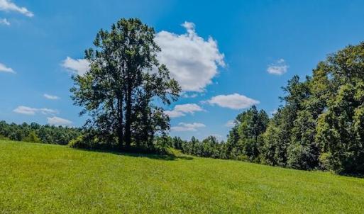 DJI_20250825123737_0349_D