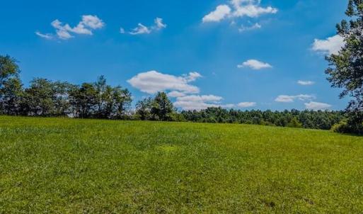 DJI_20250825123741_0350_D