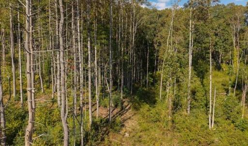 DJI_20250918155652_0157_D