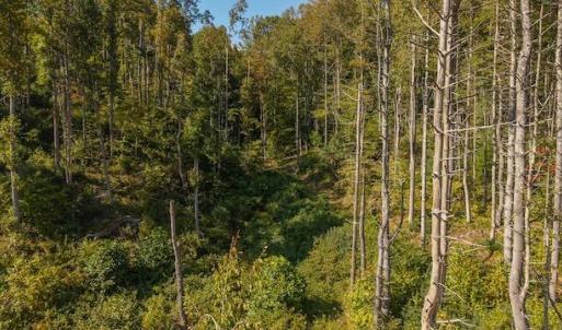 DJI_20250918155656_0158_D