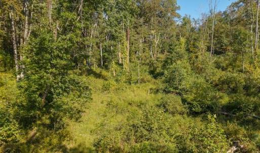 DJI_20250918155809_0164_D