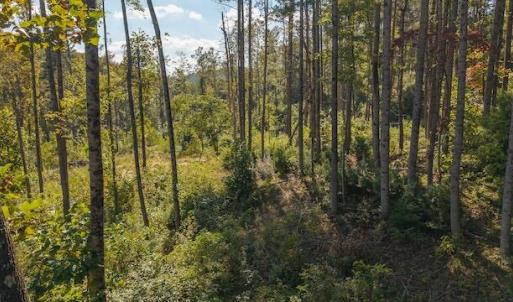 DJI_20250918155815_0165_D
