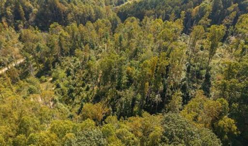 DJI_20250918155917_0168_D