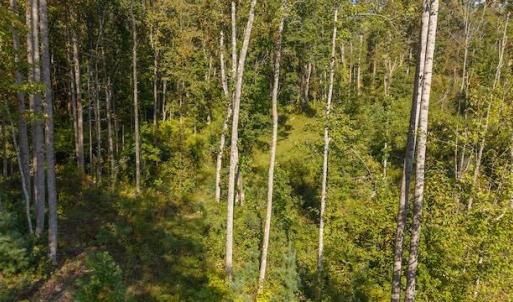 DJI_20250918155748_0162_D