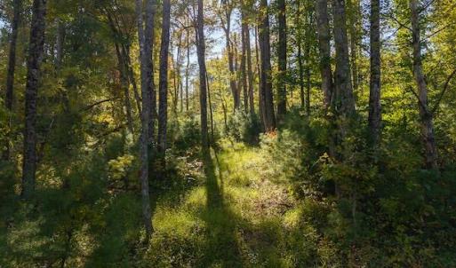 DJI_20250918161455_0192_D