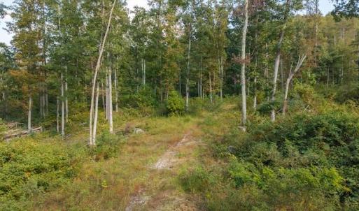 DJI_20250918160800_0179_D