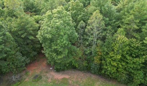 Mostly Wooded Tract