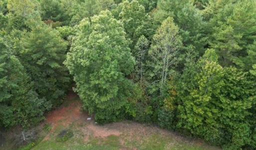 Mostly Wooded Tract