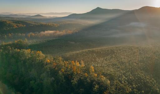 Botetourt 20 pic 24