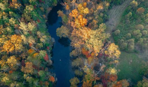 Botetourt 20 pic 23