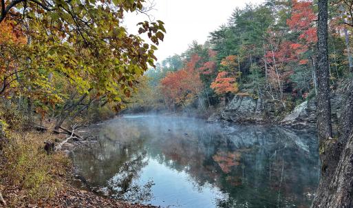 Botetourt 20 pic 13