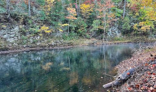 Botetourt 20 pic 11