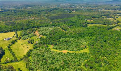 Photo #2 of 15371 SHEADS MOUNTAIN RD, RIXEYVILLE, VA 76.6 acres