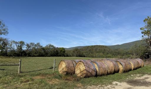 Upper Pasture