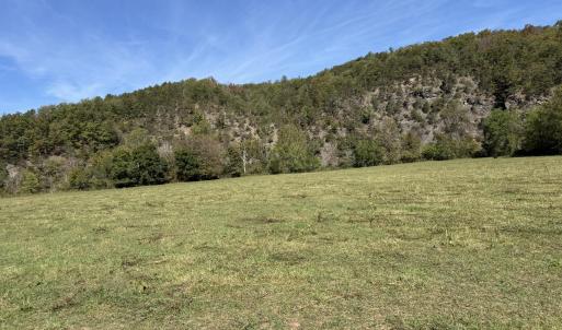 back pasture 2